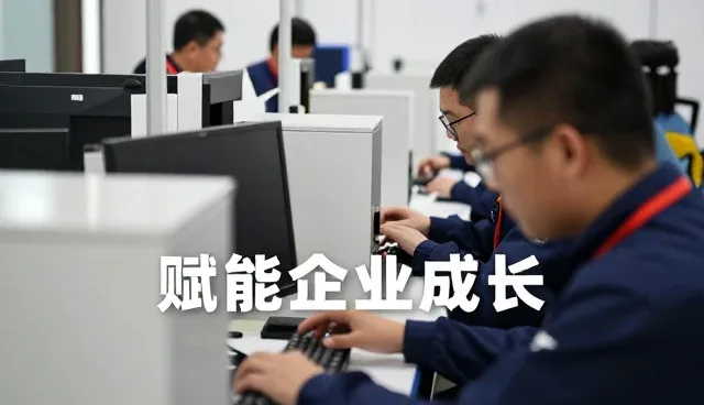 成都体验网助力企业提升项目包括软件能力